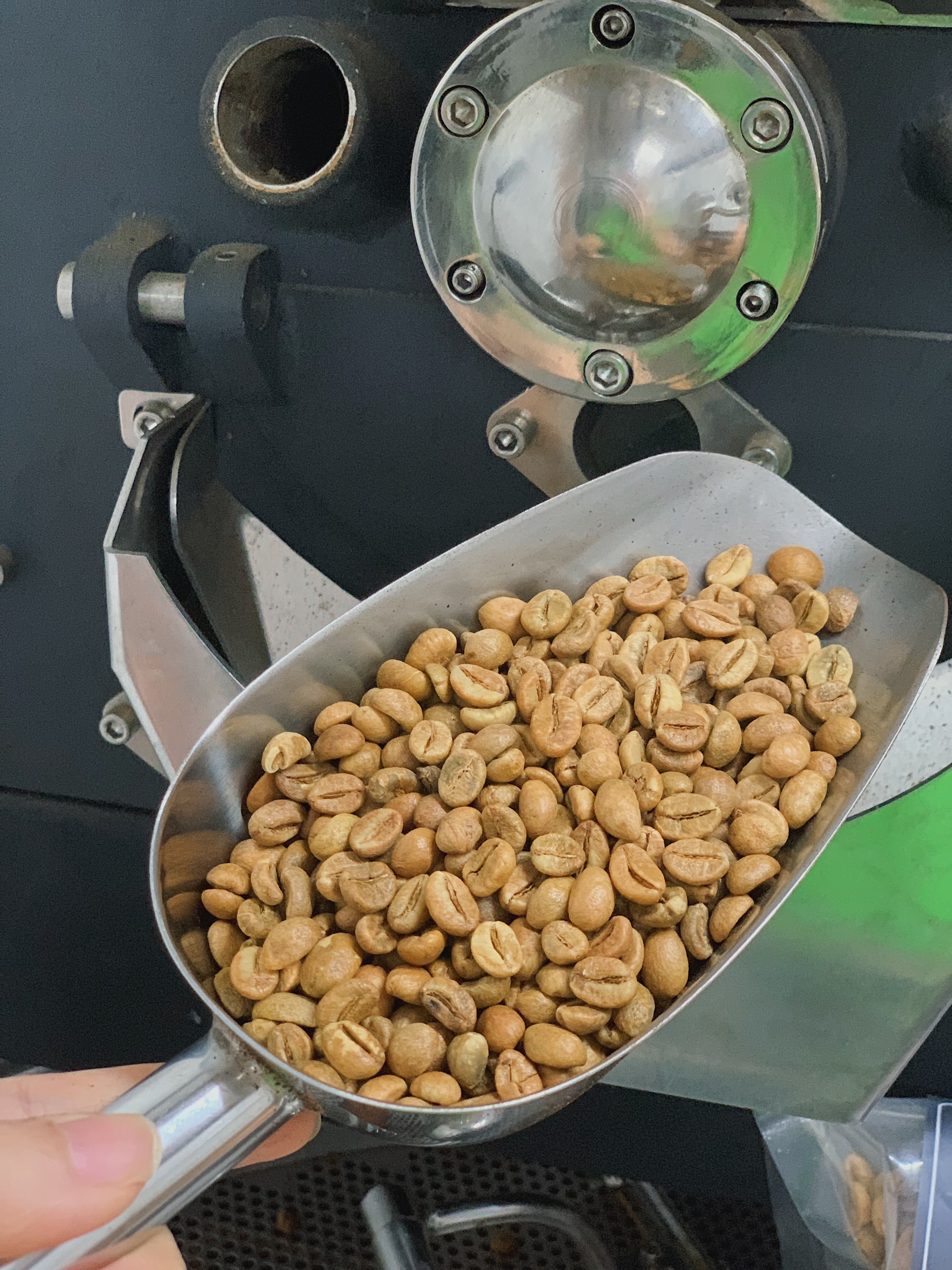 Nhân cà phê Fine Robusta Got Coffee